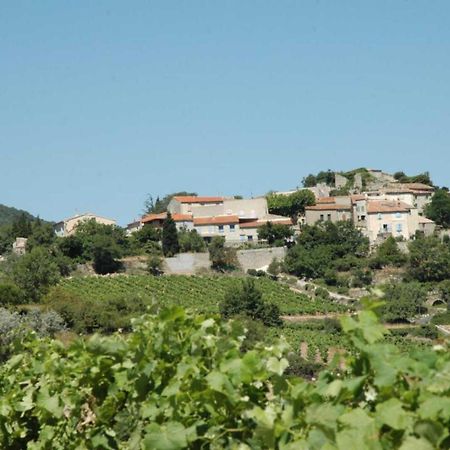 Cecile Villa Montgaillard  Dış mekan fotoğraf