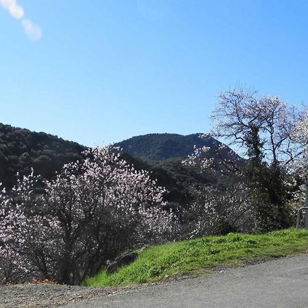 Cecile Villa Montgaillard  Dış mekan fotoğraf