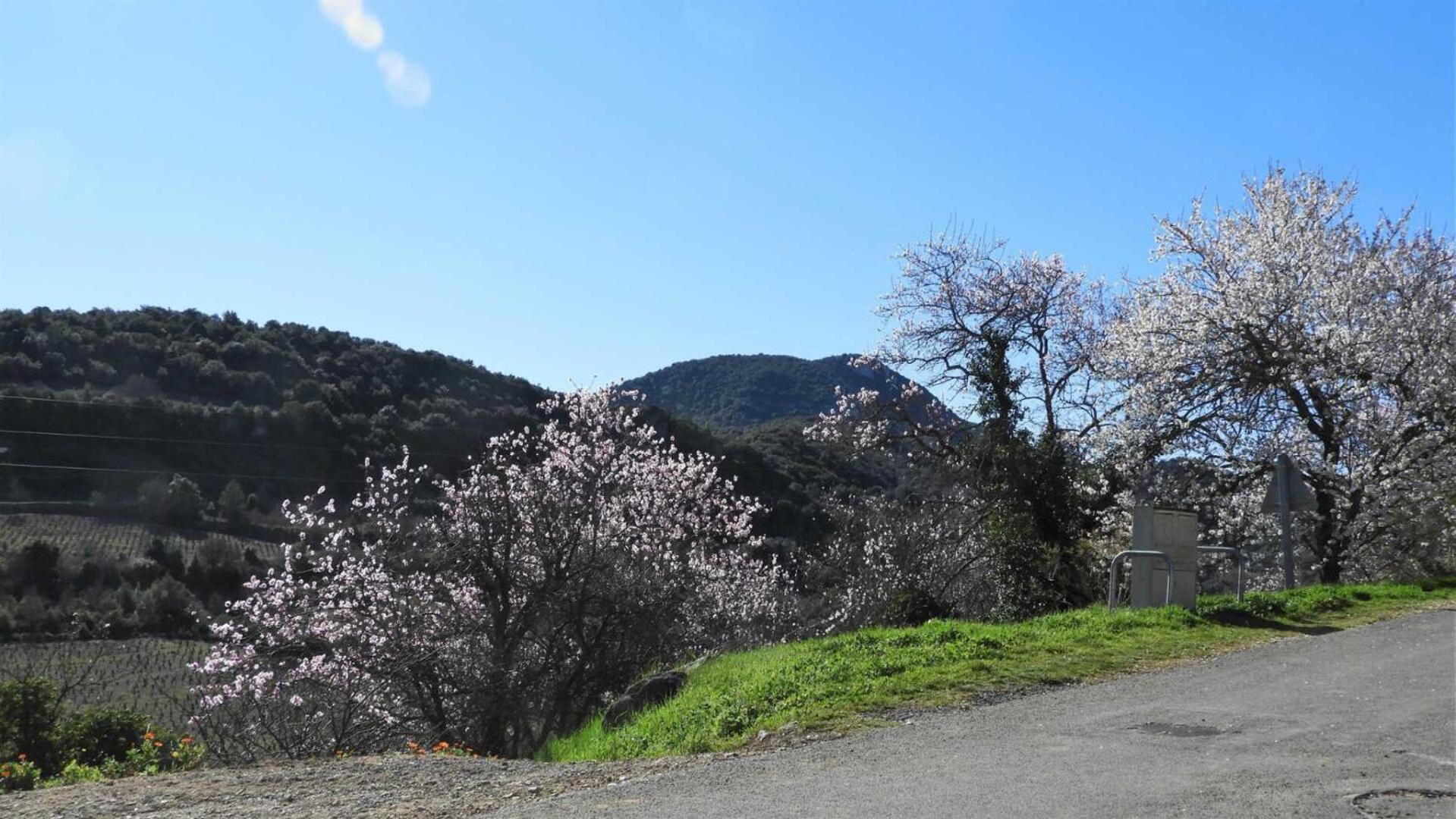 Cecile Villa Montgaillard  Dış mekan fotoğraf